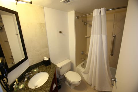 Combined shower/tub, free toiletries, hair dryer, towels