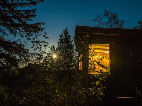Glamping Cabin | View from room