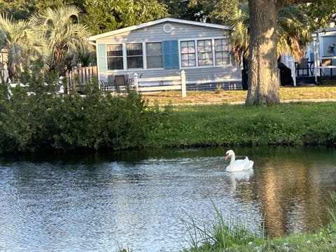 Lazy Turtle Beach House