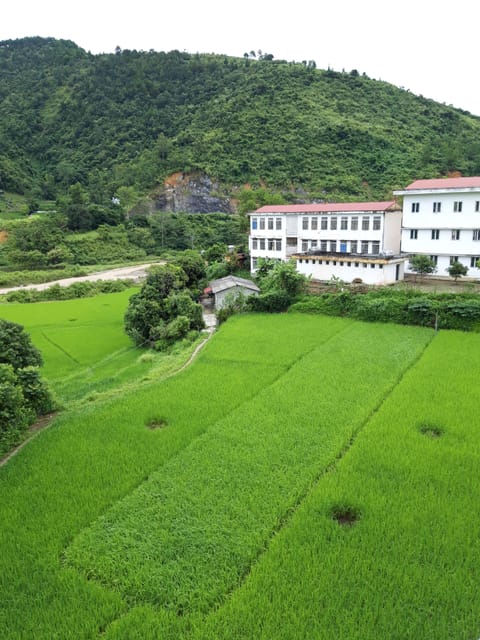Deluxe Double Room, Private Bathroom | Garden