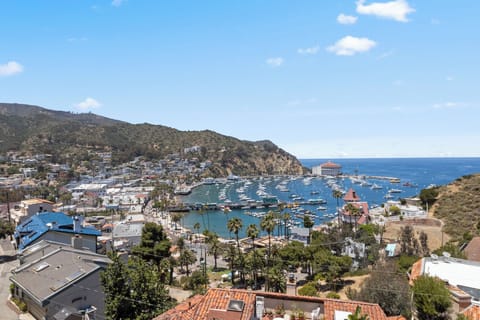 123UT Lower in Catalina Island - Avalon Views
