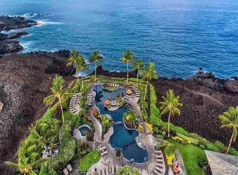 Your tropical oasis is just steps away at the Ocean Club.