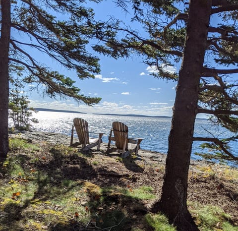 Walk down to our shore and relax for a while.