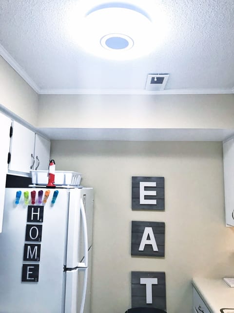 Overhead light-with connectable Bluetooth speaker