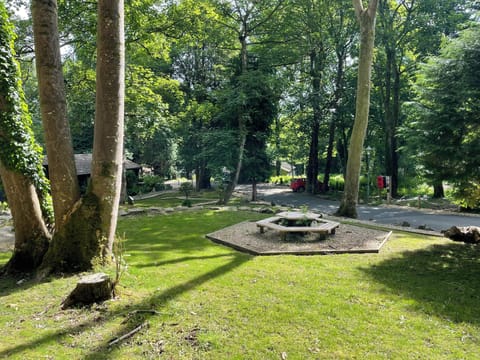 View from Seaside Bungalow. 