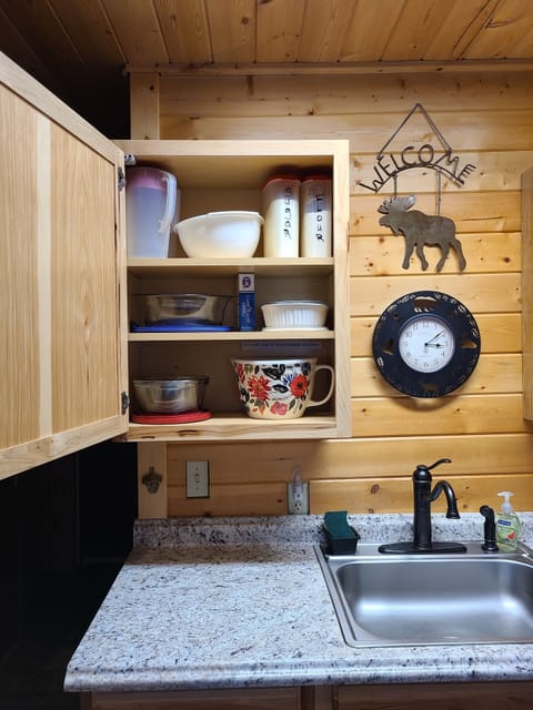 Upper cabinet left of sink.