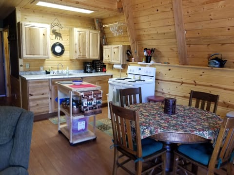 View from the front door into the cabin.