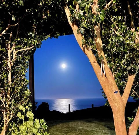 Excellent views of the Blue moon.