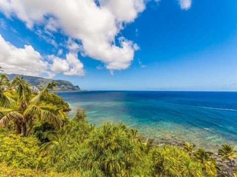 Beautiful ocean view!