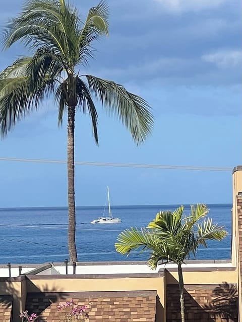 View from the lanai