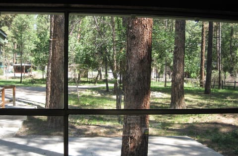 View from living room - front