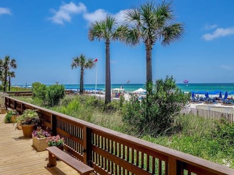 Celadon Beach Walkway