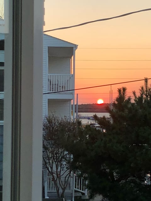 View front kitchen window looking toward bay