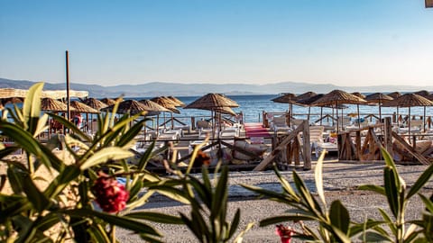 Private beach, beach shuttle, sun loungers, beach umbrellas