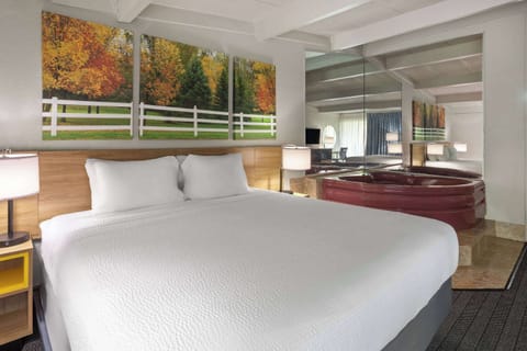 Standard Room, 1 King Bed | Jetted tub