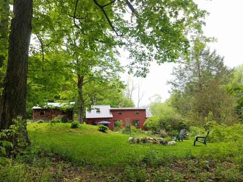 Backyard - fire-pit overview -  5 acres