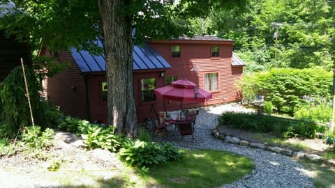 Summer / spring back yard