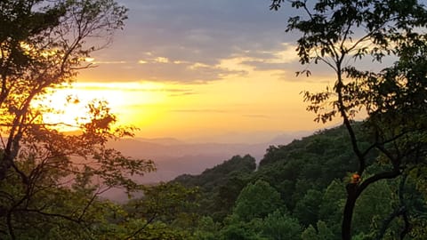 Sunrise. Every morning from the deck! 