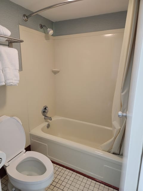 Combined shower/tub, free toiletries, hair dryer, towels
