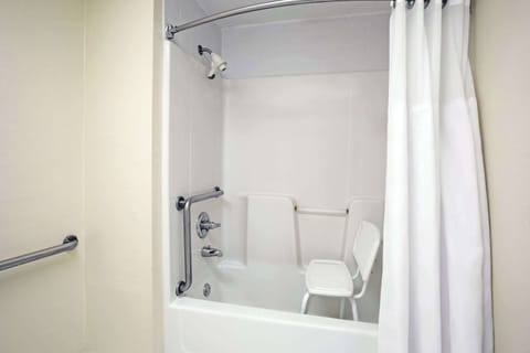 Room, 1 Queen Bed, Accessible (Bathtub) | Bathroom | Combined shower/tub, eco-friendly toiletries, hair dryer, towels