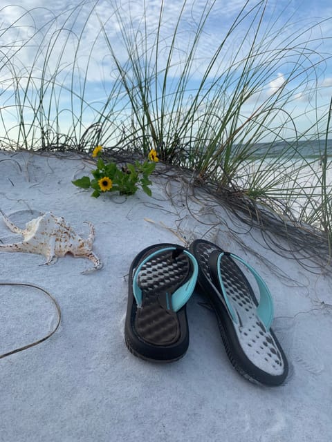 Welcome To “Sandy Thongs”!
