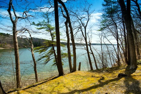 Your view! The Damariscotta River.  Oysters right behind the house.  The best!