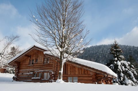 Location chalet en rondin grande capacité hiver neige La Bresse Vosges