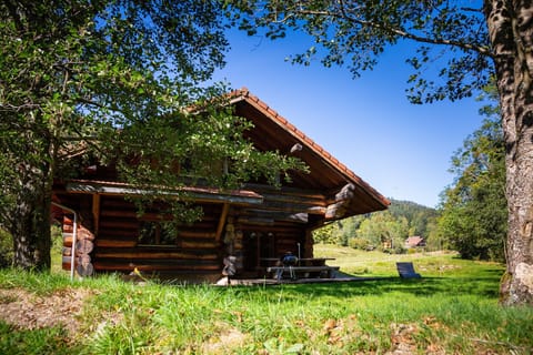 Magnifique chalet en rondins en bord de rivière
