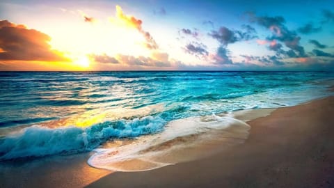 Scuba diving, snorkeling, fishing