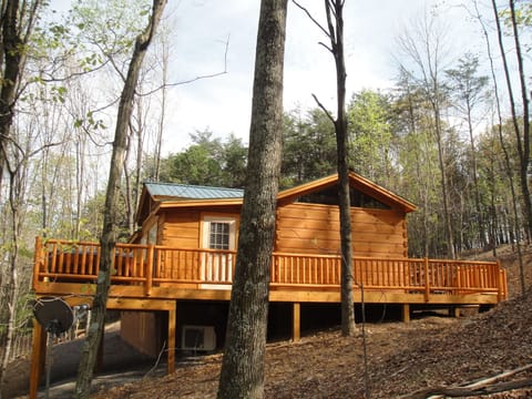 Side view of cabin - hot tub in left corner