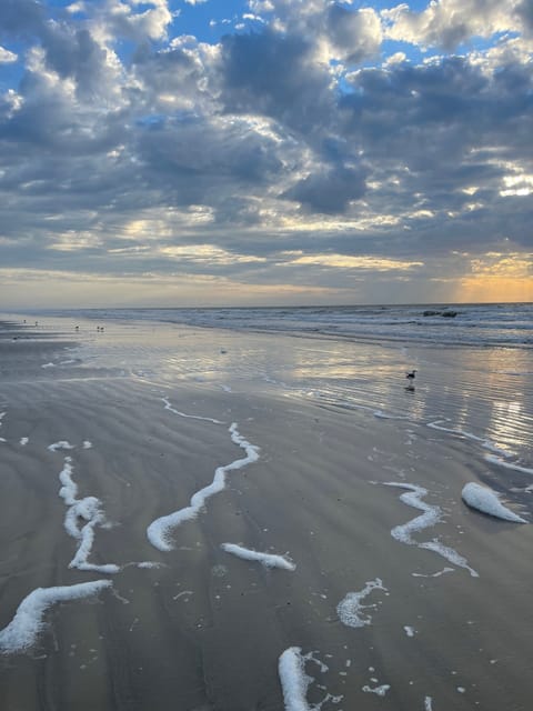 Beautiful beach near house 
