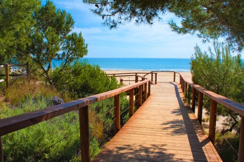 Beach nearby