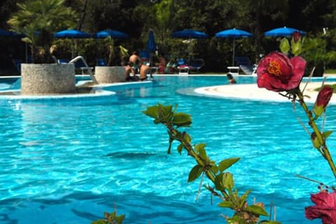 Seasonal outdoor pool, pool umbrellas, sun loungers