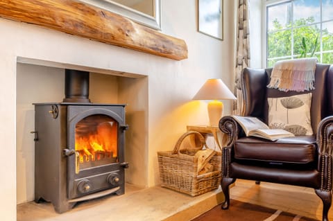 Cottage | Living room | Fireplace, DVD player