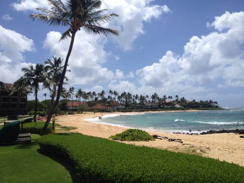 #1 rated beach by Travel Channel