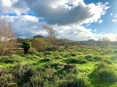 So many wonderful walks! 