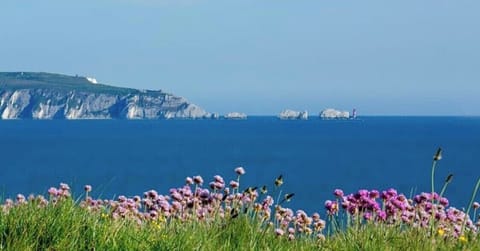 Lovely walk view of The Needles Isle of Wight. 