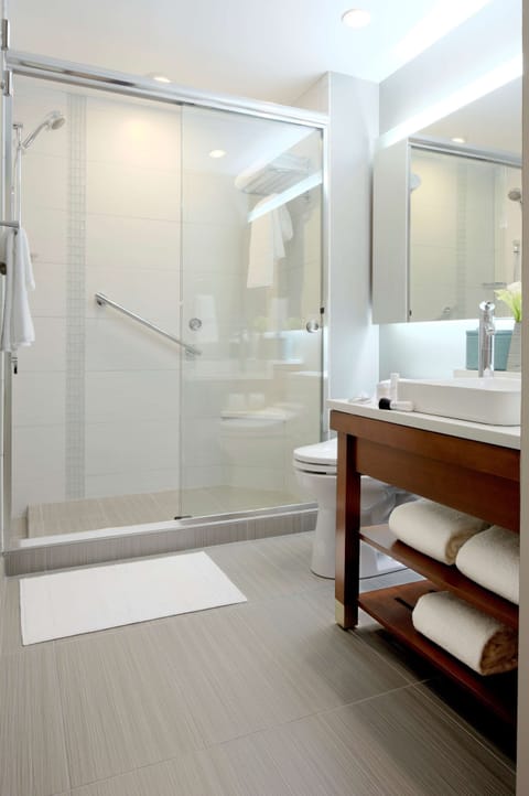 Hydromassage showerhead, free toiletries, hair dryer, towels