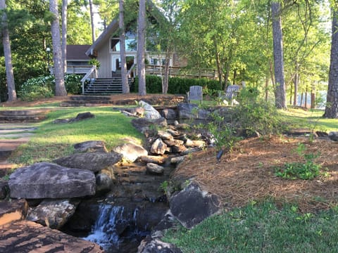 Looking from the water