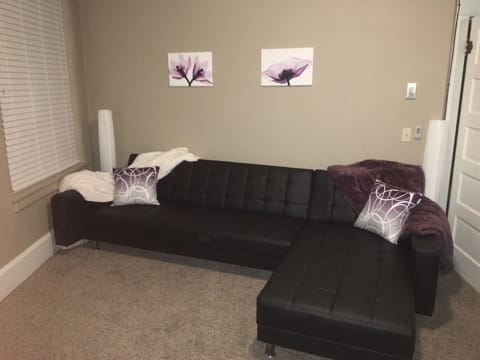 Modern couches double as extra twin and queen beds. Large 65" tv in living room.