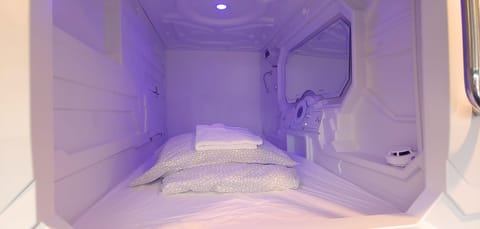 Hypo-allergenic bedding, down comforters, memory foam beds