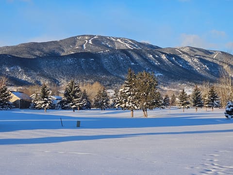Red Lodge Ski Mountain view from back yard.  You can see the ski runs!