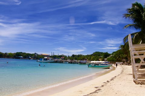 On the beach, scuba diving, snorkeling