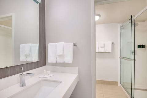 Combined shower/tub, free toiletries, hair dryer, towels