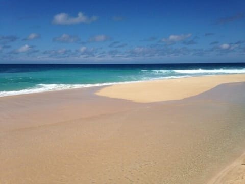 Local beach within walking distance of the cottage
