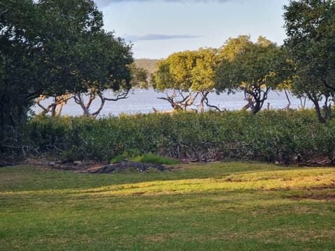 Back yard overlooking Curley's Bay (the river)