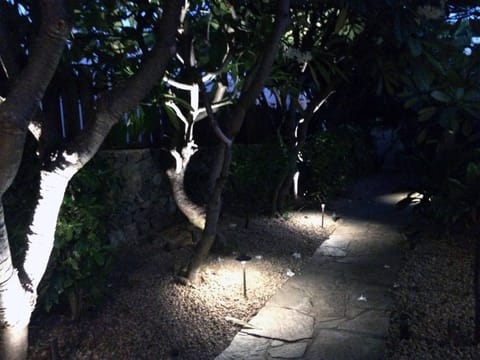Front walk with fragrant-flowered plumeria trees at night.