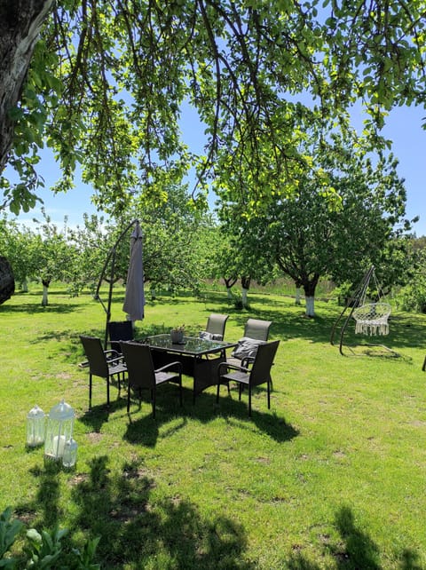 Outside sitting. Barbeque space.