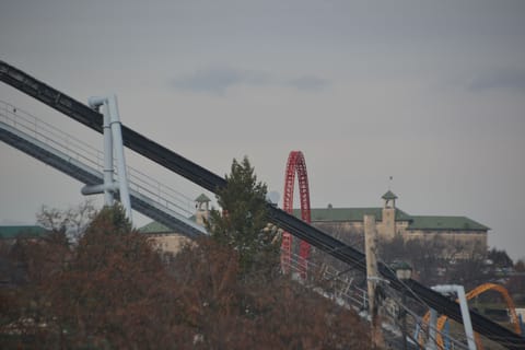 Hershey true 100% window view
