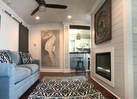Living room 1. Shiplap FP w led color adjust flames and rocks.  Couch folds out.
